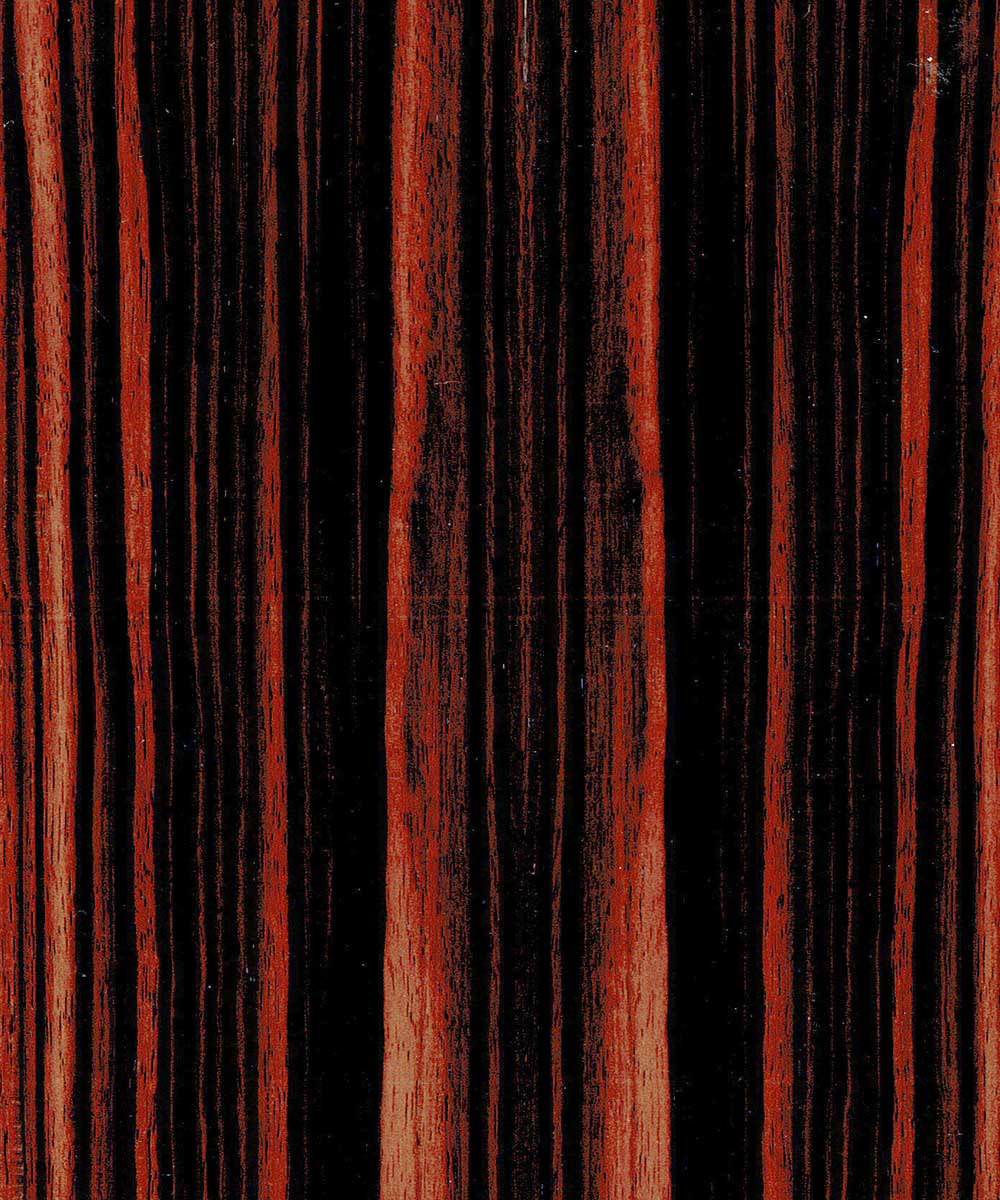 Macassar Ebony